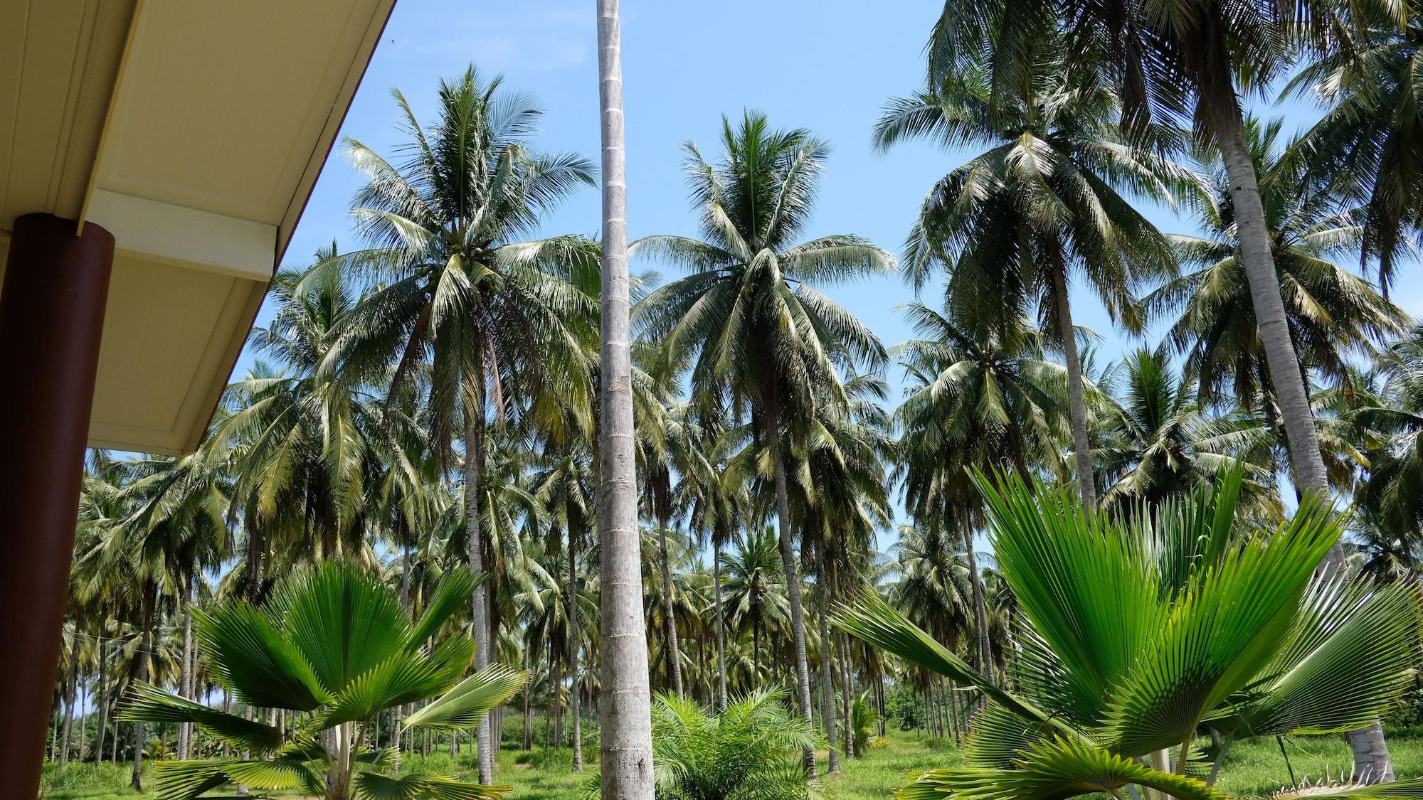 Khao Lak Golden Coconut Hotel Buitenkant foto